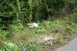 Eliminarea vegetației de pe acostamentul D.J.139-2017-4