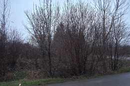 Acțiune de curățenie pe DJ.139-2017-2