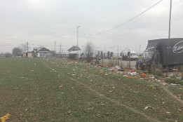 Curățenie &icirc;n Piața Agricolă Puchenii Mari-3