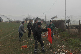 Curățenie &icirc;n Piața Agricolă Puchenii Mari-4