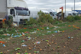 Curățenie de toamnă &icirc;n comună-2017-11