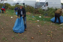 Curățenie de toamnă &icirc;n comună-2017-12