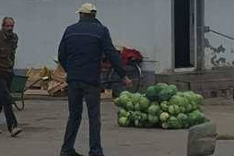 Curățenie de toamnă &icirc;n comună-2017-14