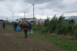 Curățenie de toamnă &icirc;n comună-2017-5