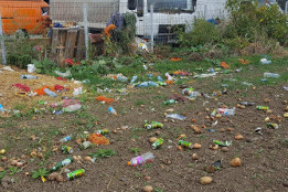 Curățenie de toamnă &icirc;n comună-2017-7