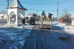 Combaterea poleiului-1