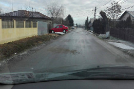 Combaterea poleiului &icirc;n 29.12.2016-6