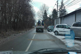 Combaterea poleiului &icirc;n 29.12.2016-11