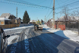 Combaterea poleiului-3