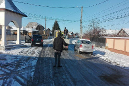 Combaterea poleiului-4