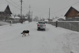 Deszăpezire &icirc;n 11 ianuarie 2017-6