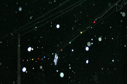 Iluminat festiv &icirc;n comuna Puchenii Mari-2