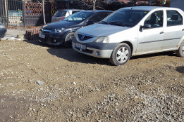 Pietruiri Martie 2017-4