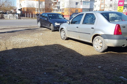 Pietruiri Martie 2017-6