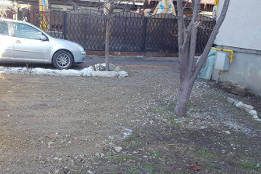 Pietruiri Martie 2017-8