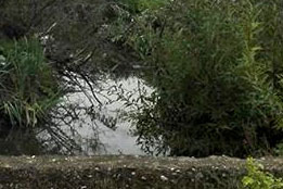 Decolmatare Canal Pușcășeanca-15