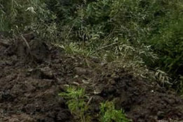 Decolmatare Canal Pușcășeanca-2