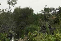 Decolmatare Canal Pușcășeanca-5