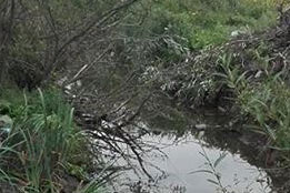 Decolmatare Canal Pușcășeanca-6