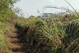 Decolmatare Canal Pușcășeanca-7